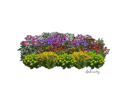 M BAB babiccin záhon