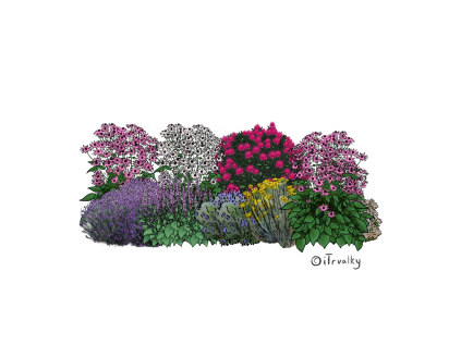 M BYL bylinkovy zahon