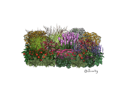 M TRV trvalkovy zahon