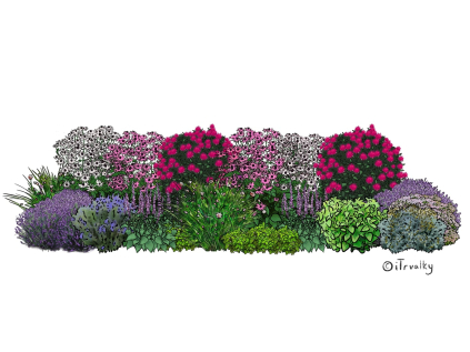 V BYL bylinkovy zahon