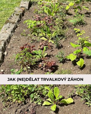 Už aby tu bylo jaro a všechno kvetlo. 🥰🌸 Ale dejme si nejprve malé opáčko… víte, s jakými chybami při zakládání záhonu se...