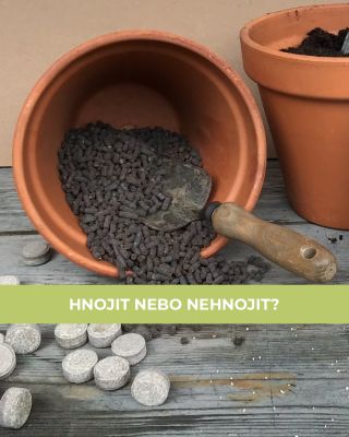 KDY URČITĚ HNOJIT?� 🌱 Před výsadbou, pokud je půda průměrná nebo dokonce nic moc. Dobré je zapracovat kompost/hnůj do půdy...