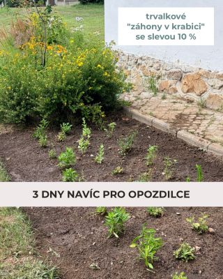 Včera byl poslední den naší prázdninové akce. ☀️🌸 To se samozřejmě probudilo nejvíce zákazníků a ještě před těsně půlnocí...