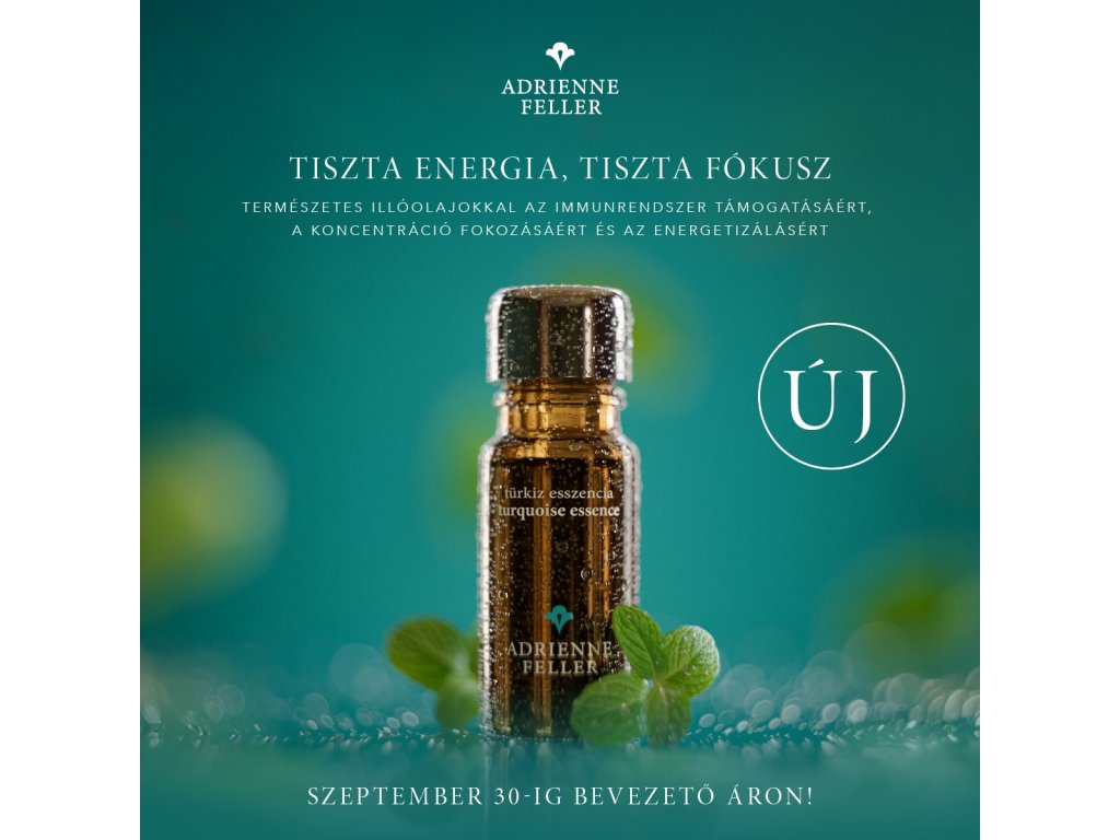 542752148 1279927840840629 1165305401086166523 n