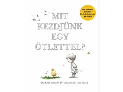 plmit kezdjunk egy otlettel web