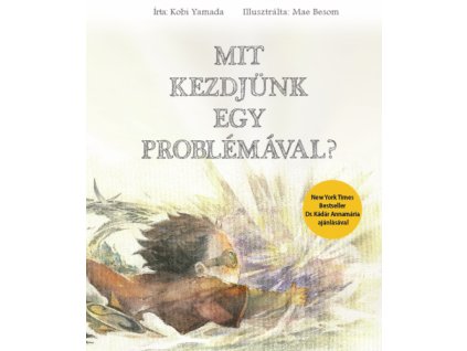 plmit kezdjunk egy problemaval web