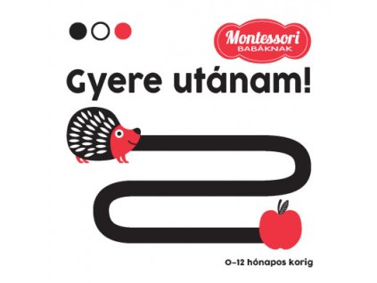 Gyere utánam - Montessori babáknak