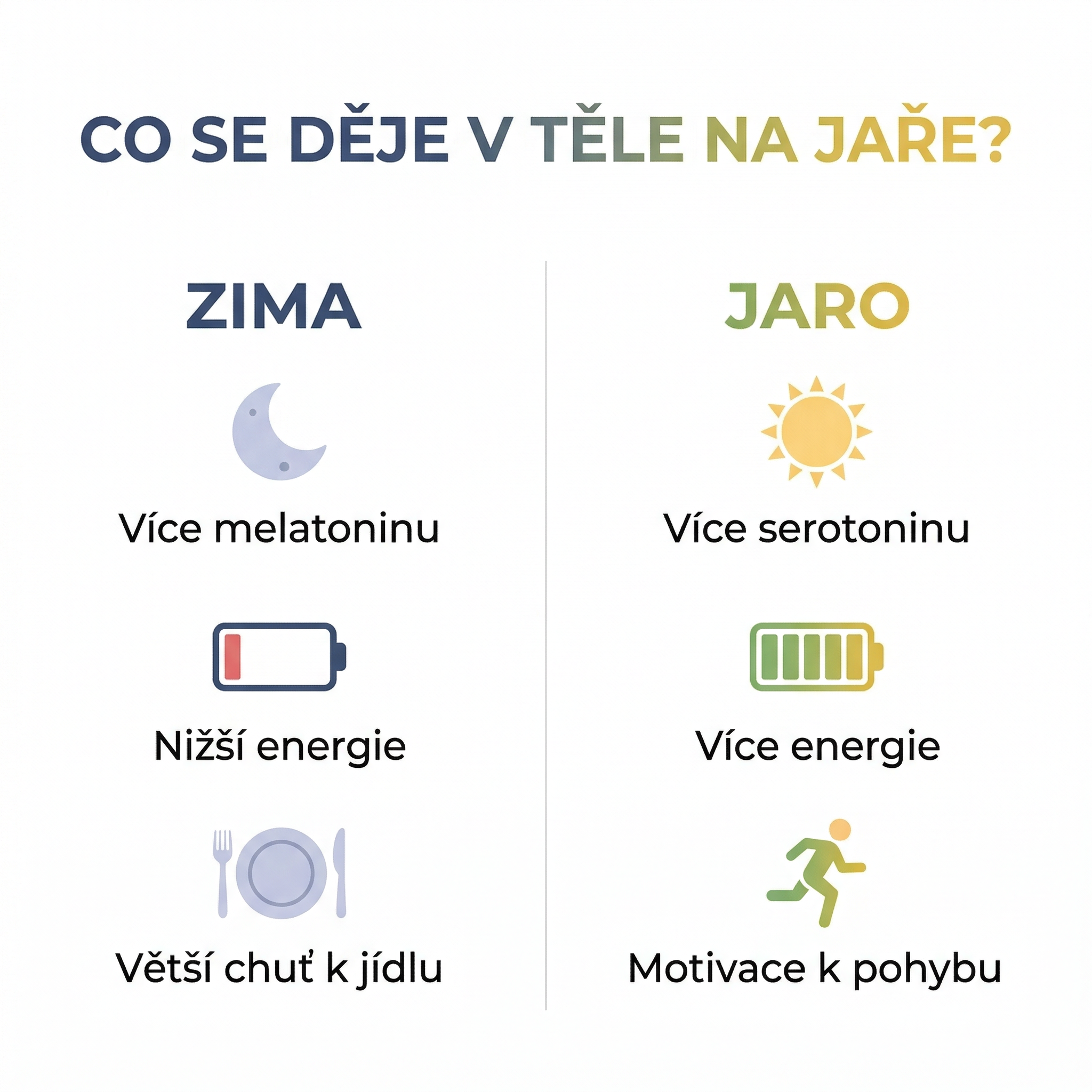 1773240915-92103b56-2807-47ea-b14d-669781868fdc