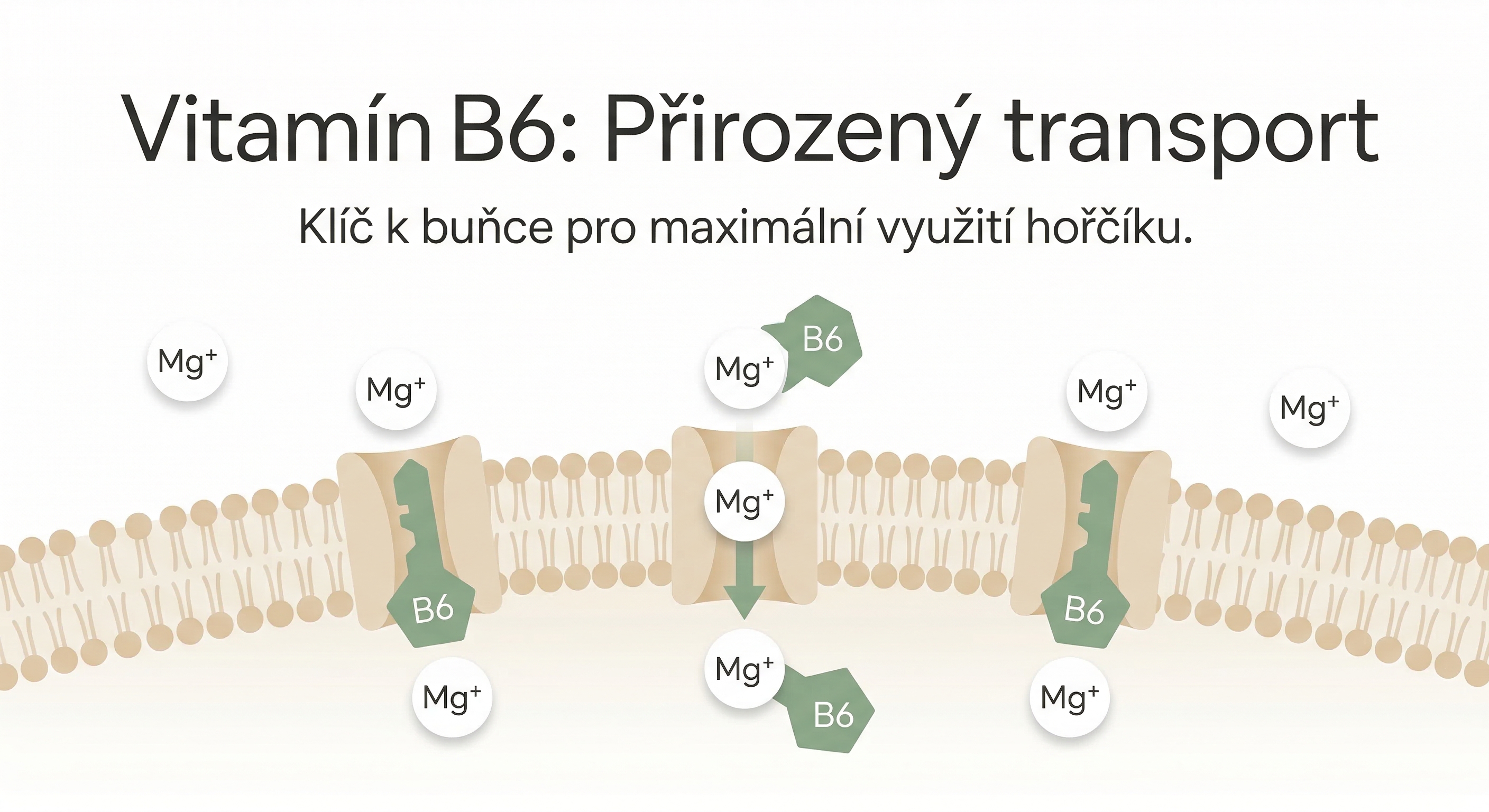 1773867951-14a35b0e-8d25-4bd7-a09c-0139d174f2bb