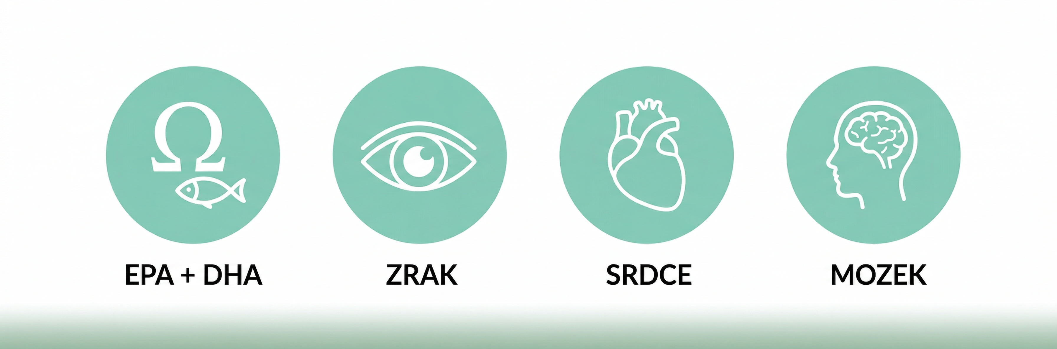 1774267599-49ff57b8-2afc-4c00-a8e6-985d3879fdad