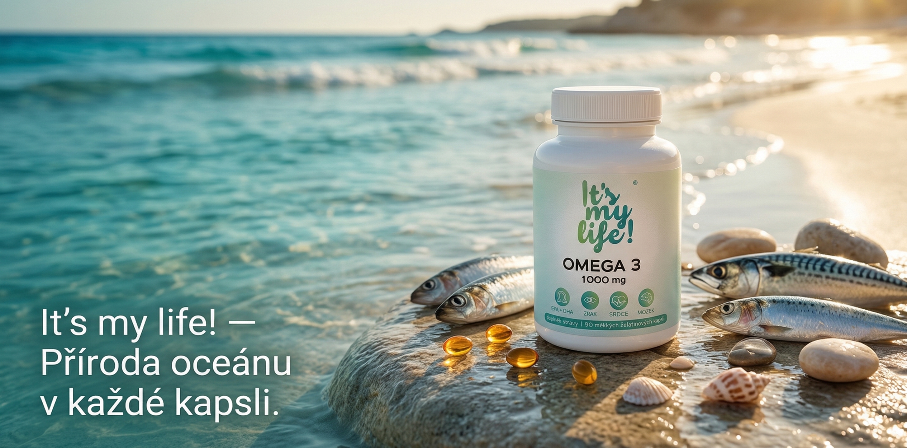 1774271429-bb2d7eb9-d3e7-46ed-b065-19f7a2a4d394