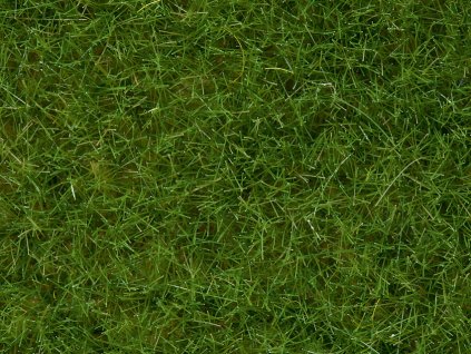 Divoká tráva - světle zelená statická BOX 100g, 6 mm, dóza / NOCH 07092