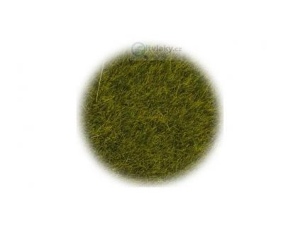 Statická tráva - divoká louka, 6 mm, 50g / NOCH 07100