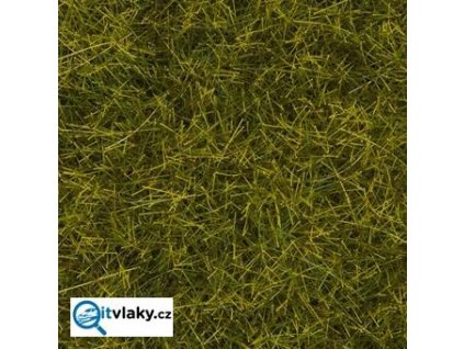Travní posyp - divoká tráva XL - louka 40g / NOCH 07110