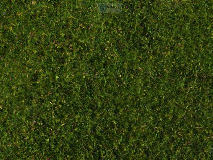 Foliáž - divoká tráva, středně zelená / NOCH 07291