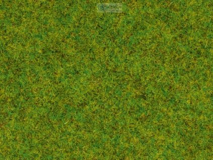 tráva jarní louka BOX 120g 2,5 mm, dóza/ NOCH 08150