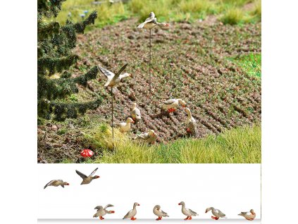 237181 h0 divoke husy 8 ks busch 1196