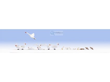 H0 - Labutě a kachny, 17 figurek / NOCH 15774