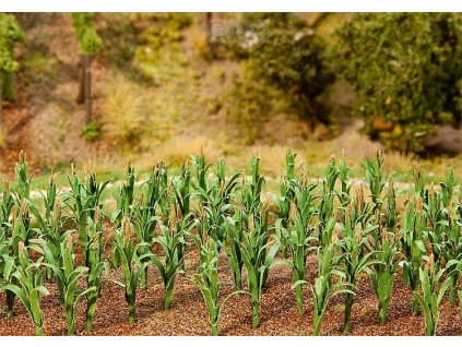 =CONCATENATE(G918," ",L918)