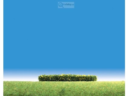 =CONCATENATE(G951," ",L951)