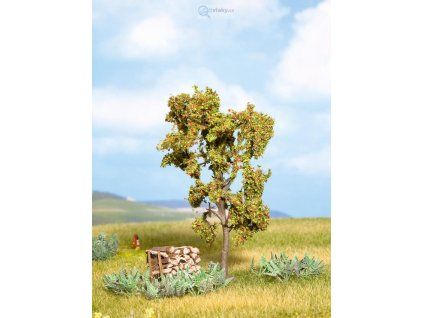 347809 2 strom jerabiny 11 5 cm noch 21650