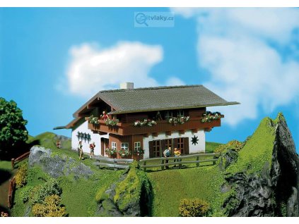 =CONCATENATE(G1107," ",L1107)