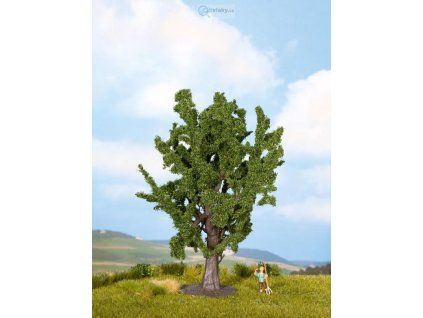 349504 2 strom dub 15 cm noch 25860