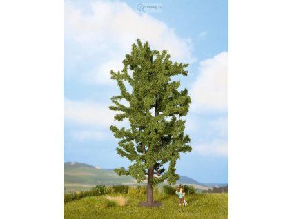 349507 2 lipa 18 5 cm noch 25880