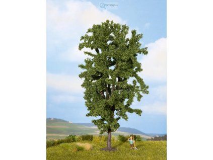 349510 2 kastan 19 cm noch 25895