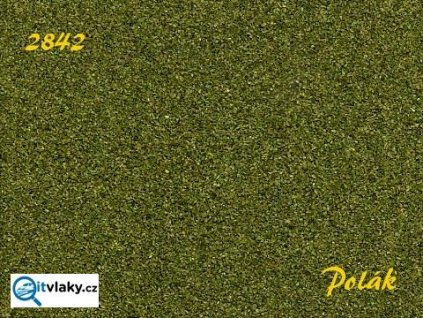 Naturex F - střední - Zelená střední / Polák model 2842