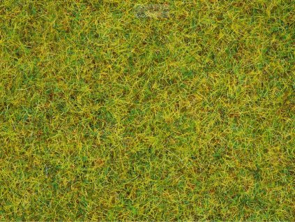 Statická tráva - letní tráva XL, 2,5 mm, 100g / NOCH 50190