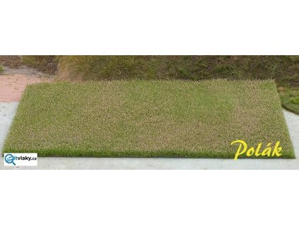 Pole - vojtěška kvetoucí /  Polák model 5812