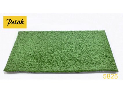 Makové pole  - zelené makovice / Polák model 5825