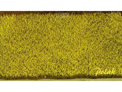 N - Řepkové pole 24,5 x 19,5 cm / Polák model 5841