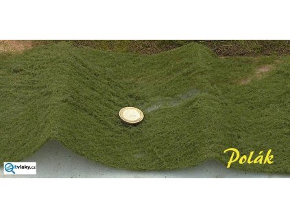 STATDEKOR střední - borovicová zelená