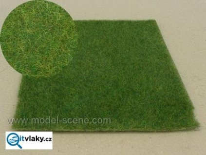 387685 mokrad tmavy model scene f012