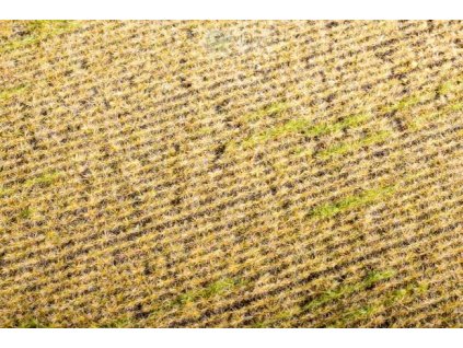 387700 strniste model scene f403