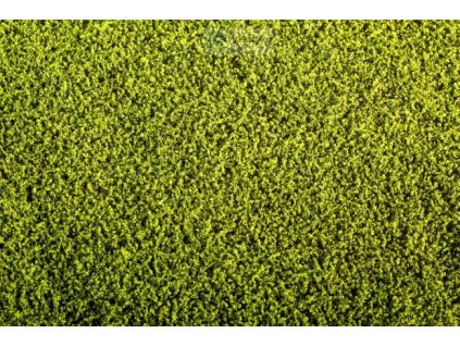 387706 vojteska model scene f440