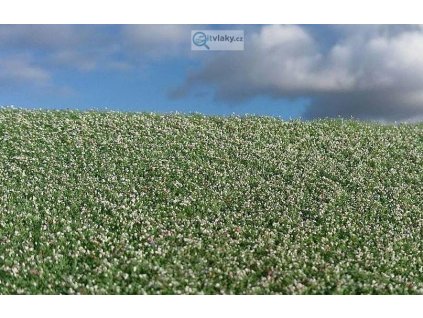 387712 makove pole kvetouci model scene f460