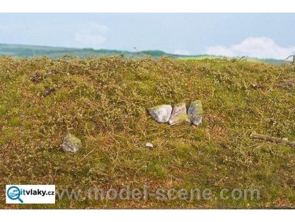 387787 lesni podrosty jarni model scene f601