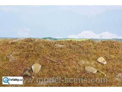 387793 lesni podrosty pozdni leto model scene f603