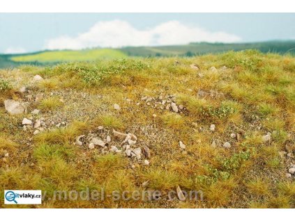 387814 pozdni leto vapencove kameny m stredne kamenite model scene f723