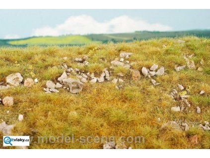 387820 pozdni leto vapencove kameny l silne kamenite model scene f733