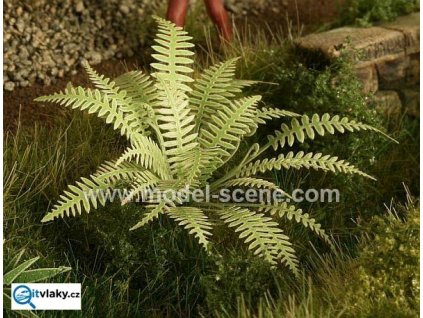 H0 - Kapradí / Model Scene VG7-001