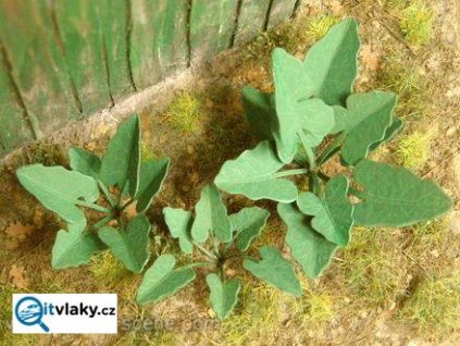 Lopuchy / Model Scene VG7-002