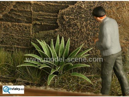 H0 - Jelení jazyk / Model Scene VG7-006