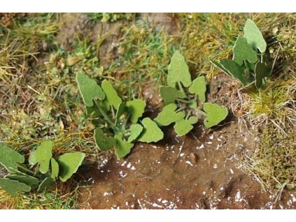 394927 n lopuchy model scene vgn 002