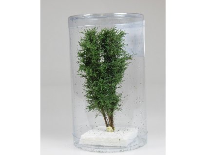 Vícekmenný strom 10-13 cm / Polák model 9524