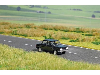 5664 NSU 1000 TT