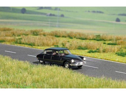 415525 5665 citroen ds 19